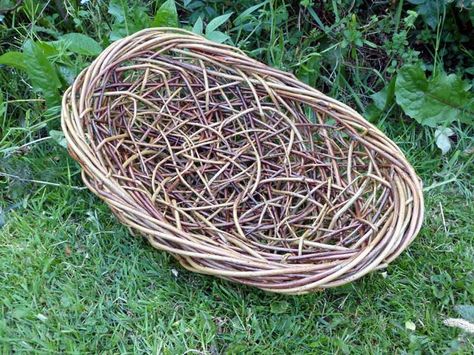 Willow Sculpture, Contemporary Baskets, Weave Basket, Patterdale Terrier, Sculpture Gallery, Basket Weaving Diy, Willow Weaving, Natural Baskets, Weaving Tutorial