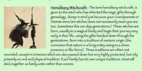 Hereditary Witch Hereditary Witch, Witch Knowledge, Cute Emo Outfits, Witchy Tips, Which Witch, Green Witchcraft, Witch Spirituality, Magic Spell Book, Magic Gift