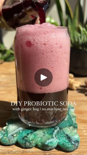 487K views · 26K reactions | DIY Probiotic Soda (with Ginger Bug) | DIY Probiotic Soda (with Ginger Bug) | By Crowded Kitchen | Did you know you can make
probiotic sodas at home without a fancy machine? The first
thing you'll need to do is make a ginger bug. It's basically
like sourdough starter but it's just organic ginger, sugar, and
water. The natural yeast and bacteria will begin to ferment
the sugar after several days at room temp. Feed the mixture
with more sugar and ginger every day. Here it is on day
two and day five. After about a week, you can refrigerate it or
make soda. Sanitize Swing Top bottles. Strain the ginger from
the ginger bug then pour an ounce or two of the ginger bug
into bottle. Top it off with juice. It's important to use
one that has some sugar in it otherwise it Probiotic Soda, Ginger Bug, Natural Yeast, Crowded Kitchen, Healthy Soda, Homemade Soda, Fermentation Recipes, Soda Recipe, Fermented Drink