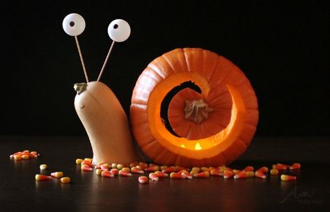 Easy Pumpkin Carving Ideas, Unique Pumpkin Carving Ideas, Diy Halloween Dekoration, Creative Pumpkin Carving, Easy Pumpkin Carving, Amazing Pumpkin Carving, Scary Pumpkin Carving, Pumpkin Contest, Pumpkin Carving Designs