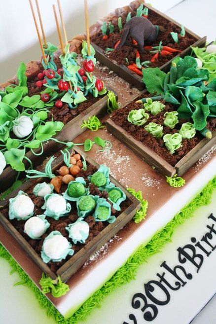 Vegetable Garden Cake - For all your cake decorating supplies, please visit craftcompany. co uk Allotment Cake, Vegetable Garden Cake, Garden Cake, Farm Cake, Garden Cakes, Unique Cakes, Novelty Cakes, ดินปั้น Polymer Clay, Cake Decorating Supplies