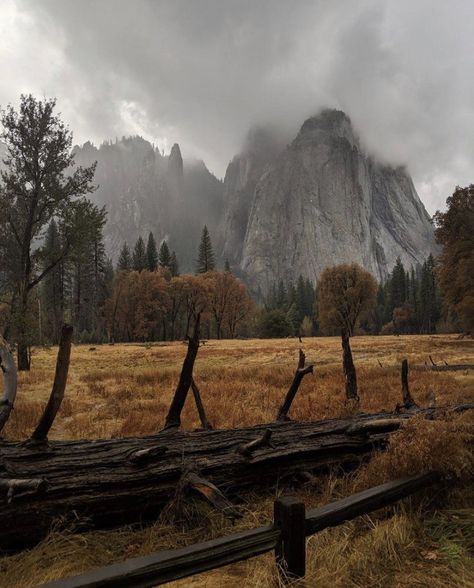 Fall Aesthetic Dark, Foggy Aesthetic, Dark Autumn, Aesthetic Fall, Best Seasons, Arte Fantasy, Fall Aesthetic, Autumn Cozy, Autumn Aesthetic