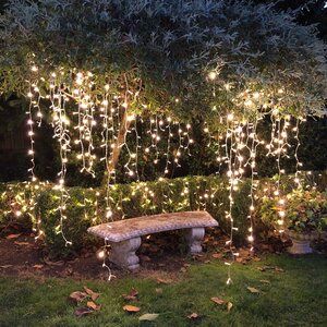 Backyard Fairy Lights, Hanging Tree Lights, Fairy Lights In Trees, Eglo Lighting, Bridal Backdrops, Icicle Christmas Lights, Light Up Tree, Outdoor Fairy Lights, Twinkly Lights