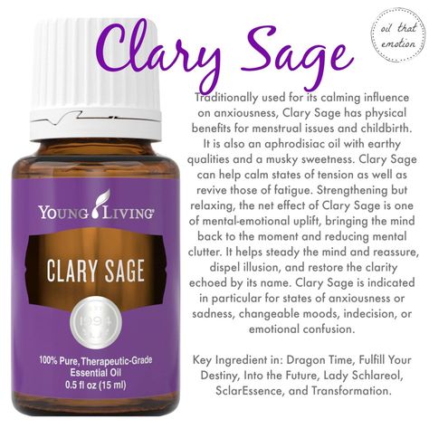 Clary Sage Oregano Essential Oil Benefits, Youngliving Recipes, Young Living Oregano, Oregano Oil Benefits, Young Living Oils Recipes, Living Oils Recipes, Oregano Essential Oil, Essential Oils Collection, Essential Oil Diffuser Blends Recipes