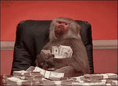 Monkey With Money Happy Withmoney GIF - Monkey With Money Happy Withmoney Swag - Discover & Share GIFs Money Monkey, Monkey Gif, Monkeys Funny, Baboon, Tumblr Funny, Animal Gifs, Animated Gif, Cool Gifs, Money Online