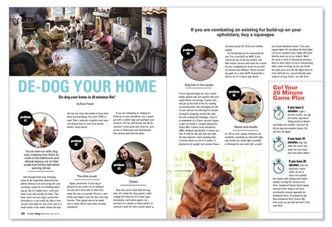 Pet Magazine Layout, Dog Magazine Layout, Food Magazine Layout, Magazine Back Cover, Magazine Typography, Pet Magazine, Animal Magazines, Magazine Cover Ideas, Magazine Design Inspiration