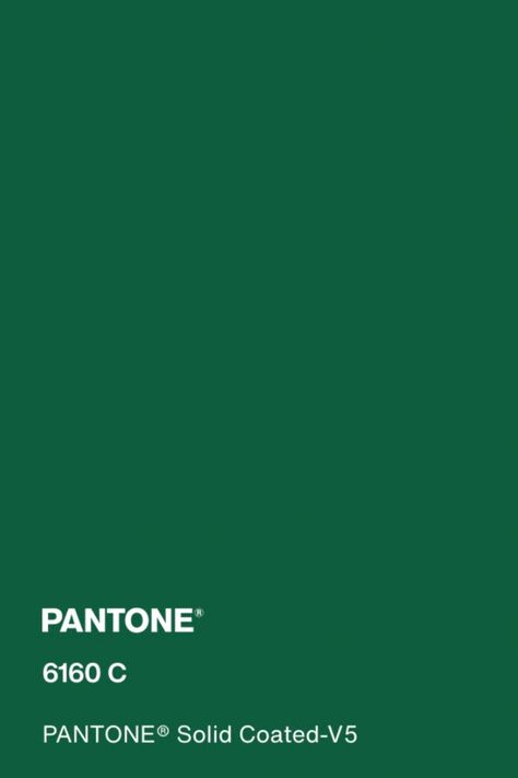 #pantone #green #color #pantone6160c Pantone Solid Coated, Green Pantone, Pantone Green, Pantone Color, Emerald Green, Green Color, Color Palette, Emerald, Green