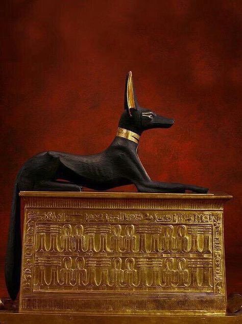 Statue of the jackal god Anubis from the tomb of Tutankhamun. Egyptian Jackal, Starověký Egypt, Egypt Museum, Ancient Egyptian Artifacts, Egyptian Artifacts, Ancient Egypt Art, Old Egypt, Egypt History, Egypt Art