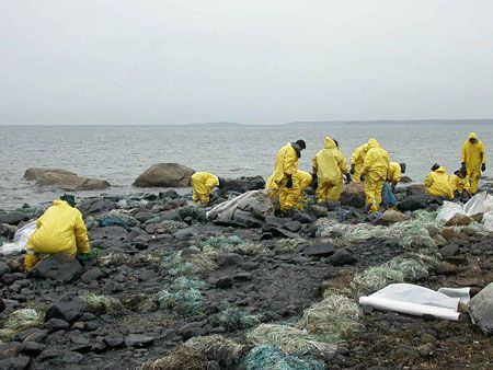 What is the most absorbent material for cleaning up oil? Find out in this science project comparing the effectiveness of different sorbents in cleaning up oil spills! Wizard Background, Oil Spill Experiment, Swimming Pool Filters, Beach Clean Up, Environmental Engineering, Clean Beach, Oil Spill, Pool Filters, Science Project