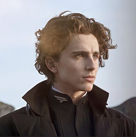 paul atreides. dune 2021 Dune Art, Paul Atreides, Denis Villeneuve, Timmy T, Regulus Black, Fictional Crushes, Timothee Chalamet, Film Serie, Celebrity Crush