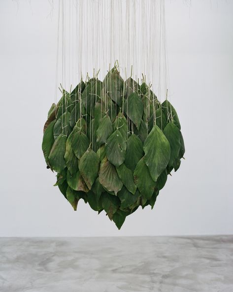 in a gallery space, many large leaves are suspended from the ceiling with string. the leaves hang at different heights, forming a circular shape. Hanging Plant Installation, Installation Street Art, Plant Installation, Food Sculpture, Dry Plants, Modern Crafts, Visual Culture, Oceans Of The World, Collage Poster