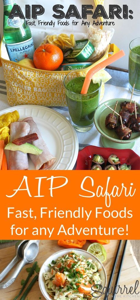 A Squirrel in the Kitchen | AIP Safari Review : Fast, Friendly Food for any Adventure (giveaway) | http://asquirrelinthekitchen.com Aip Snack, Neighborhood Park, Campfire Desserts, Aip Paleo Recipes, Lentil Burgers, Aip Diet, Aip Paleo, Aip Recipes, A Squirrel