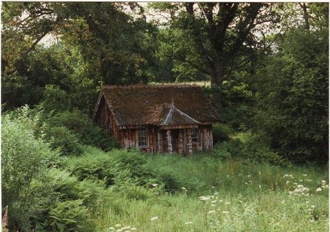 Hidden Groundskeeper Cottage, Secluded Cottage, Run Down Cottage, Poor Cottage Aesthetic, Old Fashioned Cottage, Small Woodland Cottage, Hidden Cottage, Scotland Cottage Aesthetic, 1700s Cottage