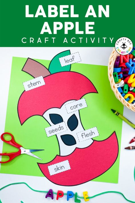 Apple Parts Craft, Apple Labeling Kindergarten, Apple Theme Crafts Preschool, Apple Lesson Plans For Kindergarten, Parts Of An Apple Craft Preschool, Apple Parts Preschool, Apple Craft For Kindergarten, Parts Of An Apple Craft, Apple Fine Motor Activities Preschool