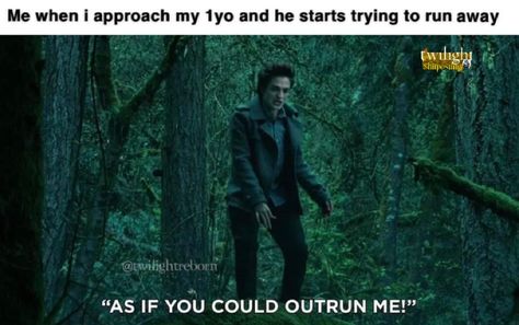 1yo run away as if you could outrun me twilight Twilight Jokes, Robert Pattinson Twilight, Twilight Funny, Twilight Memes, Twilight Photos, Twilight Fans, Funny Reaction Pictures, The Twilight Saga, Twilight Saga