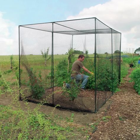 World Source Partners 7 Ft. W x 9 Ft. D Hobby Greenhouse & Reviews | Wayfair Garden Rows, Fruit Cage, Hobby Greenhouse, Garden Netting, Gardening Diy, Aquaponics System, Garden Plans, Mini Greenhouse, Garden Markers