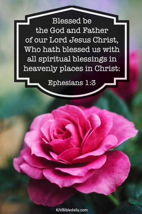 Ephesians 1:3 KJV – KJV Bible Verses Powerful Bible Verses For Women, Scripture Verses Kjv, Proverbs Kjv, Verses For Women, Kjv Bible Verses, Healing Verses, Bible Verses For Women, Ephesians 1, Heavenly Places