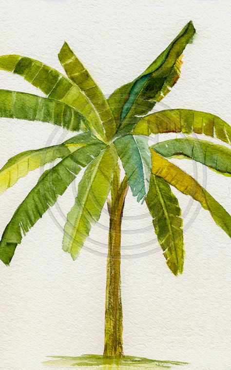 Banana Tree Watercolor, Banana Tree Painting, Banana Leaf Tree, Tree Palm, Tree Watercolor Painting, Banana Palm, Tree Watercolor, Tree Sketches, Palm Trees Beach