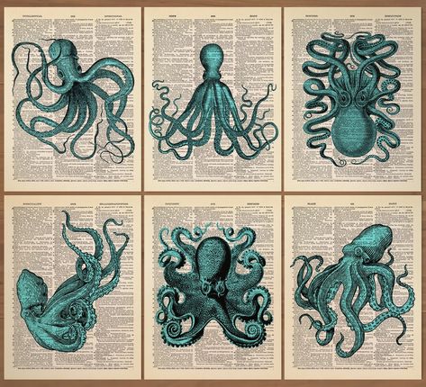 This Wall Hangings item by PrintsVariete has 5 favourites from Etsy shoppers. Is dispatched from Hungary. Listed on 01 Sep, 2024 Octopus Room Decor, Octopus Artwork, Octopus Art Print, Octopus Decor, Artwork Unique, Octopus Wall Art, Sea Life Art, Shark Art, Dictionary Art Print