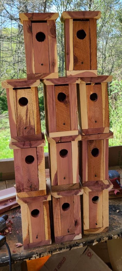 "Rustic cedar/ cypress bluebird home. 2 birdhouses. SIZE: Measurements are  5\"x5\"x10\" tall. 1 1/2 inch hole for bluebird.  Front opens for easy cleanout. Drain hole in bottom. MATERIALS: Eastern Red Cedar from the rolling hills of Tennessee. Staples, and glue. We also offer this in cypress. PROCESSING TIME: Product is handmade to order and ships in 7 to 14 days. We do not ship to Hawaii or alaska due to the cost of shipping. QUESTIONS AND ANSWERS: 1. All products are handmade by owner. 2. All Bluebird House Plans, Cool Bird Houses, Bird House Plans Free, Eastern Red Cedar, Cedar Furniture, Bird Houses Ideas Diy, Bird Home, Bluebird House, Cedar Lumber