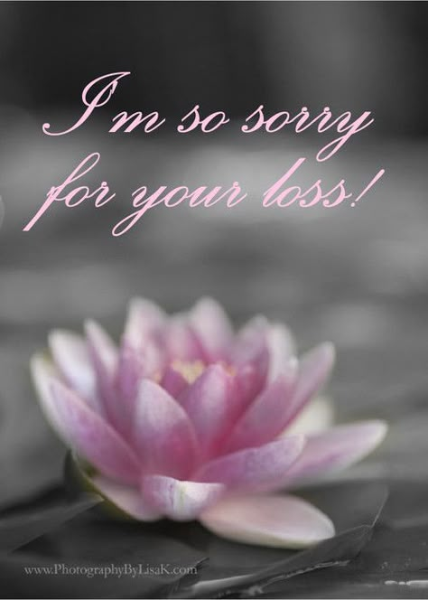 Sympathy Note Card Pink Flower on Grey, reads "I'm so sorry for your loss"    Be unique! Do you have a need to send a "Good Thoughts” card to someone? You can do it right now. Click on the card, use the pre-written message or type your own and send it instantly!  Use the Internet to save time by sending an ACTUAL greeting card to a friend. All sent for you, no need to add postage!  #Card #Sendcere #Inspirational Thinking Of You Quotes Sympathy, Quotes Sympathy, Sympathy Condolences, So Sorry For Your Loss, Condolences Quotes, In Sympathy, Words Of Sympathy, Sympathy Card Messages, Sympathy Messages