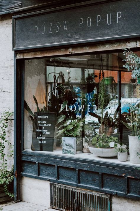 Flower shop display with pegboard signage and hanging displays Pharmacy Pictures, Florist Branding, Point Of Sale Display, Flower Store, Flower Bar, Florist Shop, Shop Front, Shop Window Displays, Design Visual