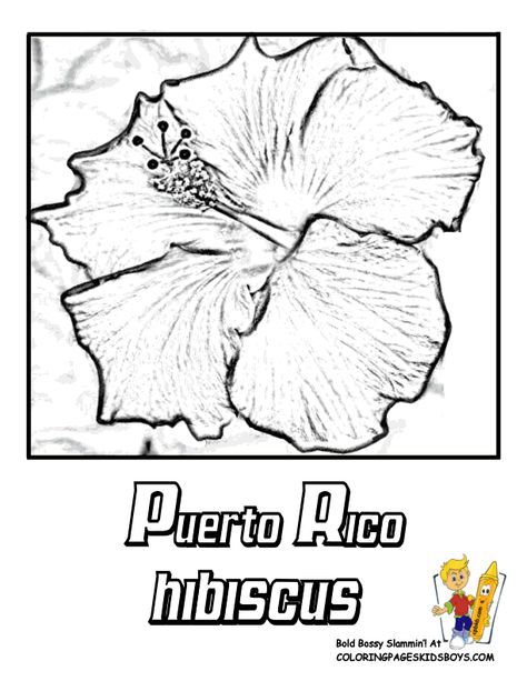 flowers_78_hibiscus_puerto-rico_coloring-pages-book-for-kids-boys.gif (612×792) Hibiscus Flower Drawing, Puerto Rico Map, Island Tattoo, Puerto Rico Art, Puerto Rican Culture, Flag Coloring Pages, Puerto Rico Flag, Pumpkin Coloring Pages, Truck Coloring Pages