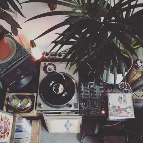 Brazilian collector Palo Santo has built a tropical music paradise in Holland, featuring the best samba, reggae and jazz from around the world. Tropical House Music, Crate Digging, Vinyl Aesthetic, Music Vinyl, Vintage Gifts Ideas, Tropical House, Music Mood, Music Aesthetic, Music Covers