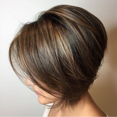 Short Brunette Bob with Sun-Kissed Highlights Hair Highlights Ideas, Short Brunette, Sunkissed Hair Brunette, Short Hair Brown, Brown Bob Hair, Sunkissed Hair, Short Dark Brown Hair, Short Blue Hair, Short Brunette Hair