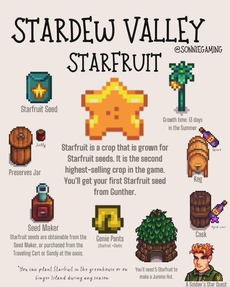 Slime Hutch Stardew Valley, Stardew Valley Slime Hutch, Stardew Hacks, Stardew Ideas, Stardew Valley Layout, Stardew Valley Tips, Stardew Valley Farms, Valley Game, Farm Layout