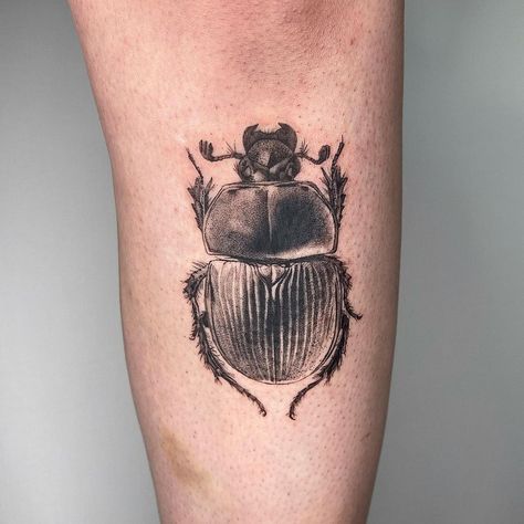 Cute Beetle Tattoo, Beetle Tattoos, Scarab Beetle Tattoo, Caterpillar Tattoo, Scientific Tattoo, Apollo Tattoo, Back Of Thigh Tattoo, Scarab Tattoo, Beetle Tattoo