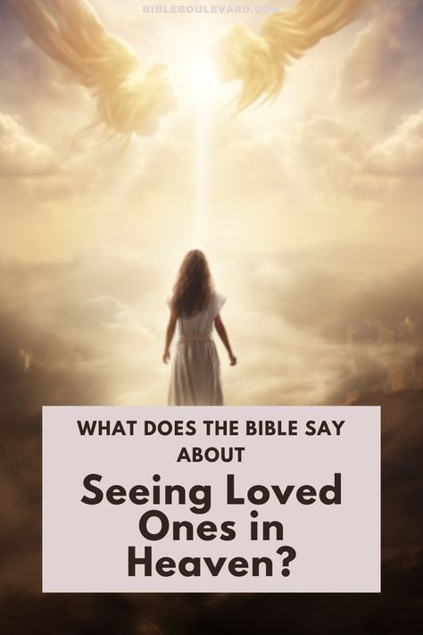 What Does the Bible Say About Seeing Loved Ones in Heaven? Warfare Prayers, Happy Birthday In Heaven, Loved One In Heaven, Spiritual Warfare Prayers, Bible Study Help, Understanding The Bible, Best Bible Verses, Christian Bible Study, Study Scripture