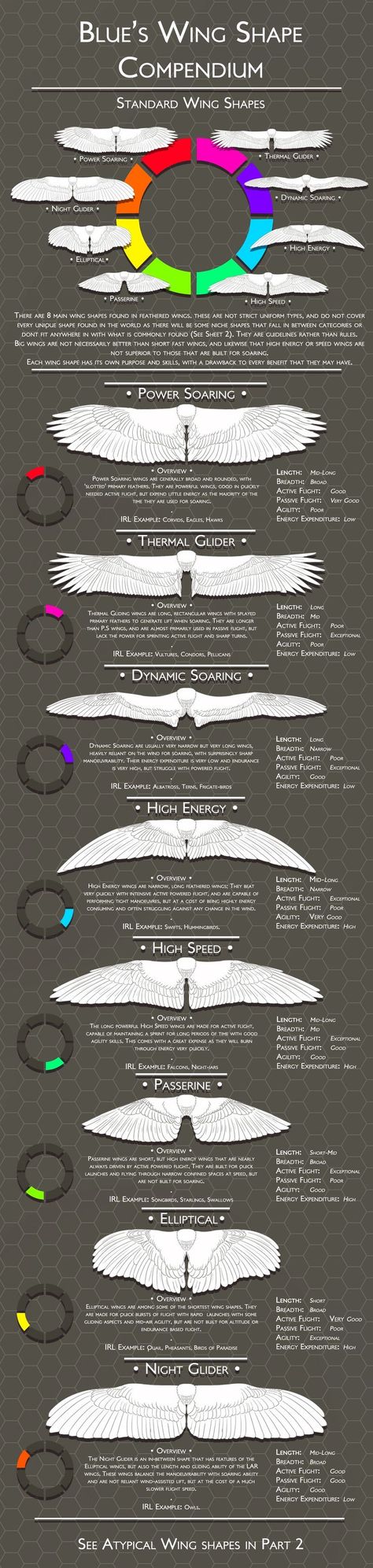 Worldbuilding Prompts, Wing Types, Wing Reference, Wing Shapes, Wing Anatomy, Winged People, Future People, Monster Collection, Art And Writing