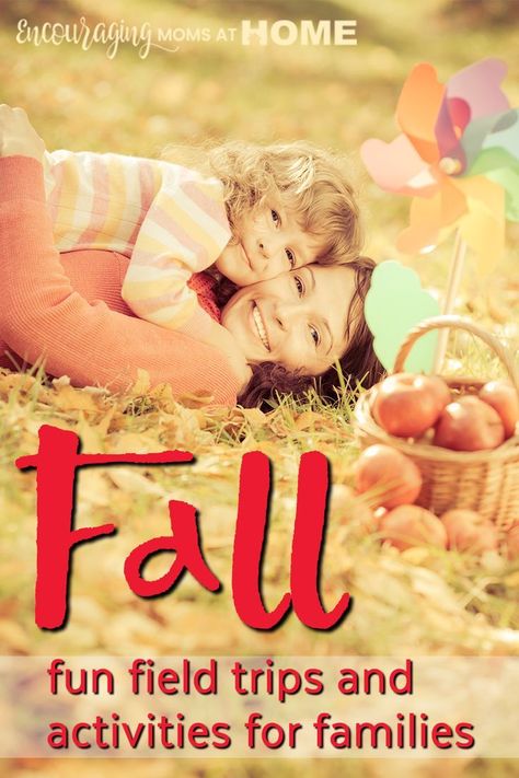 Fall field trips and activities for families Field Trip Ideas, Fall Field, Homeschool Fun, Homeschool Field Trips, Autumn Activities For Kids, Homeschool Inspiration, Homeschool Encouragement, Fall Things, Fall Outdoor Decor