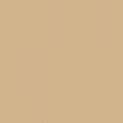 Biege Colour Aesthetic Wallpaper Plain, Blank Beige Backgrounds, Light Brown Plain Background, Light Brown Background Plain, Light Brown Colour Background, Light Brown Wallpaper Plain, Plain Tan Background, Brown Plain Background, Creme Color Background