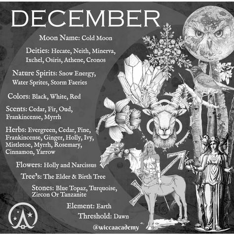 Wicca Academy on Instagram: "December is the 12th month of the Julian and Gregorian calendars. The name December means 10th month as it was the 10th month of the year according to the ancient Roman calendar that began in March. Other Names for the Month Anglo Saxon – Yule monath or Winter monath December Folklore -Much rain in October, much wind in December -Green on winter’s solstice, white on spring’s equinox -A green December fills the graveyard -Marry on December 3rd, for all the grief you’v December Correspondences, Wallpaper December, Aesthetic December, December Bulletin Boards, December Aesthetic, Divination Witch, Yarrow Flower, Roman Calendar, Cold Moon