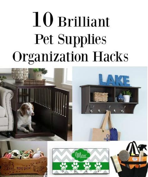 Dog Supplies Organization, Pet Supplies Organization, Dog Bedroom, Supply Organization, Dog Feeding Station, Dog Organization, Pet Organization, Small Space Organization, Dog Rooms