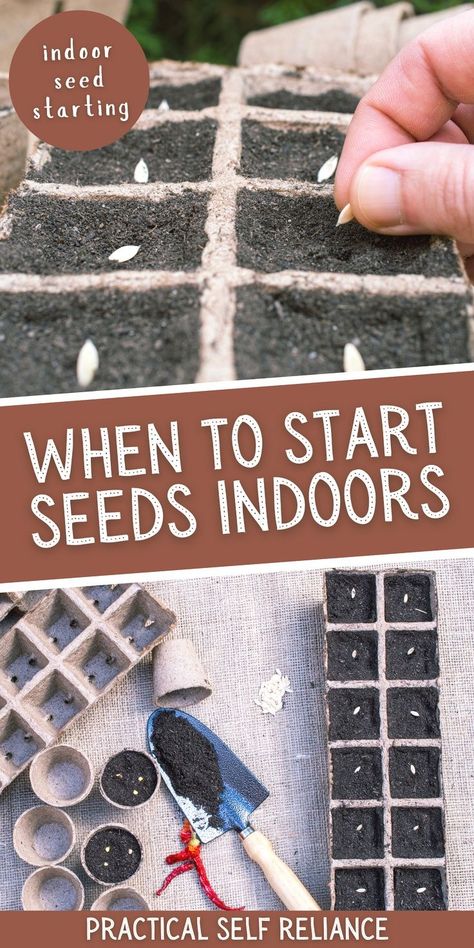 When to Start Seeds Indoors: Growing Vegetables - If you're looking to start your own garden but are unsure when to start planting and sprouting your seeds indoors, with the right tools, you can be sure that your spring garden will be thriving in no time. Here you'll find advice on when to start your seeds indoors, as well as detailed guidance on which vegetables are best suited for indoor seed starting, including broccoli, Brussels sprouts, peppers, and tomatoes. When To Start Seeds Indoors, Growing Vegetables From Seeds, When To Start Seeds, When To Plant Seeds, Indoor Seed Starting, Cold Climate Gardening, Start Seeds Indoors, Seedlings Indoors, Squash Seeds