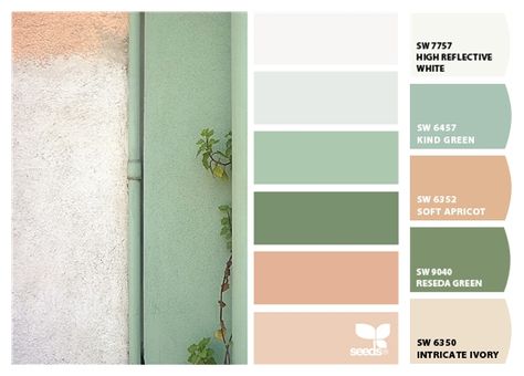 Paint colors from ColorSnap by Sherwin-Williams Seeds Color, Green Nursery, Green Colour Palette, Design Seeds, Color Palate, Style Deco, Color Palette Design, White Rooms, Green Design