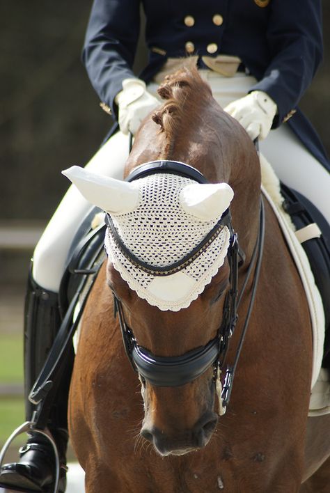 Bonnet Crochet Pattern Free, Horse Bonnet, Bonnet Crochet Pattern, Equestrian Dressage, Horse Inspiration, Crochet Horse, Bonnet Crochet, English Riding, Most Beautiful Animals