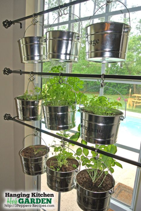 Grow an organized herb garden in your kitchen, without using up precious counter space. Inside garden. Herb Garden In Kitchen, Inside Garden, Kitchen Herbs, Herb Planters, Vertical Gardens, Indoor Herb Garden, Herbs Indoors, Garden Windows, Hanging Garden