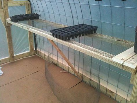 Cattle Panel Greenhouse, Cold Frame Gardening, Sustainable Farm, Diy Greenhouse Plans, Cattle Panels, Beginner Gardening, Greenhouse Garden, Sloped Backyard, Build A Greenhouse