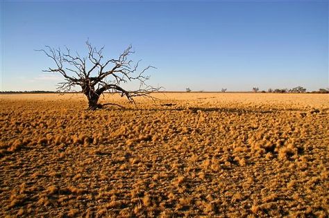 Barren Landscape Art, Victorian Apocalypse, Water Exhibition, Barren Land, Barren Landscape, Waste Land, Billy Goat, Nature Background Images, The Giant Peach