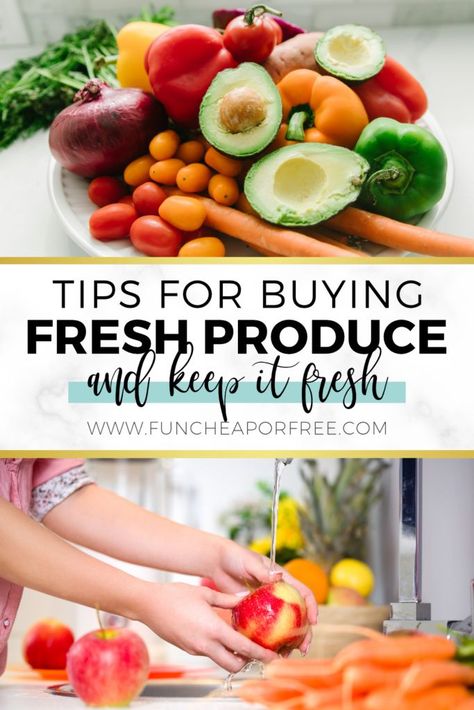 Save money and stop being so wasteful with fruits and veggies! They're a delicious way to get some good nutrients into your family. Use our tips on buying cheap produce that's in season and start eating healthier! Homemaking Hacks, Frugal Homemaking, Fruit And Veggies, Save On Foods, Sweet Potato Breakfast, Cooking Hacks, Lunch Salads, Saving Ideas, Food Tips