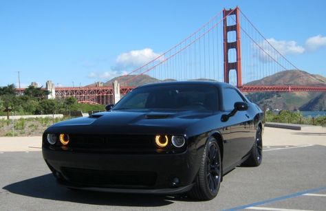 2016 Dodge Challenger SXT Plus Doogee Challenger, Dragon Twins, 2016 Dodge Challenger, Vintage Car Party, Dodge Challenger Sxt, Challenger Sxt, Dodge Charger Hellcat, Dodge Challenger Srt Hellcat, Dream Car Garage