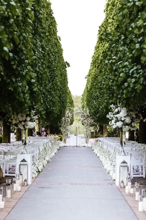 Midwestern Summer, Chicago Botanical Garden, Chandelier Installation, White Wedding Ceremony, Rustic Summer Wedding, Chicago Botanic Garden, Botanical Gardens Wedding, Chicago Wedding Venues, Floral Chandelier