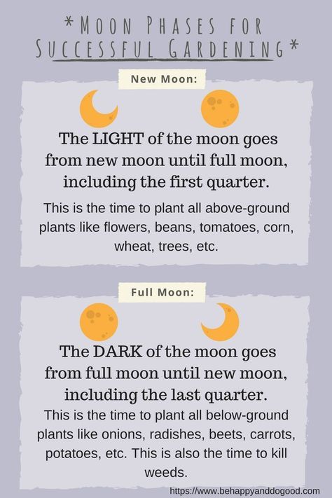 When To Plant Garden, Biodynamic Gardening, Moon Plant, Witchy Garden, The Moon Phases, The Phases Of The Moon, When To Plant, Healing Garden, Witch Garden