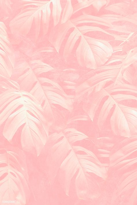 Crepe pink monstera leaf patterned background | free image by rawpixel.com / marinemynt Pink Tropical Background, Pink Backround, Baby Pink Wallpaper Iphone, Pink Monstera, Leaves Wallpaper Iphone, Monstera Pattern, Patterned Background, Tropical Background, Free Backgrounds