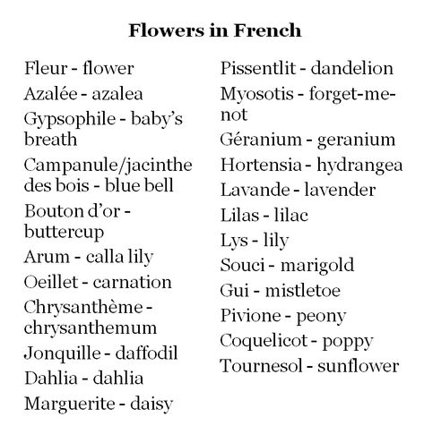 Flowers in French French Flowers Name, French Cute Nicknames, French Username Ideas Instagram, Coquette French Words, French Nicknames Aesthetic, Cute Words In French, Flowers Username Ideas, French Cute Words, French Username