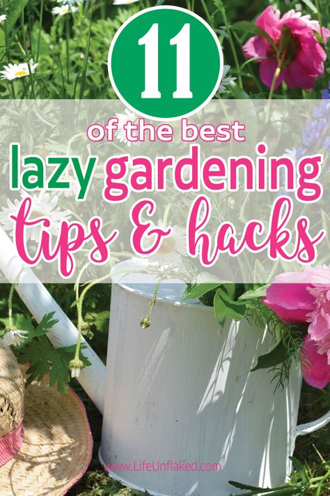 Are you a lazy gardener who’d rather spend time relaxing on the deck enjoying your flowers than weeding, gardening, and doing yardwork? These lazy gardening ideas will save you tons of time pulling weeds and deadheading flowers or the embarrassment of neglecting your yard, gardens, and potted deck plants. As a lazy gardener who loves flowers, I’d love to share lazy gardening tips I use every year to spend less time IN the yard and flowerbed and more time gazing at them from the deck! Lazy Gardening Ideas, Pulling Weeds Hack, Lazy Gardening, Deck Plants, Weeding Tips, Deadheading Flowers, Garden Diy On A Budget, Deadheading, Pulling Weeds